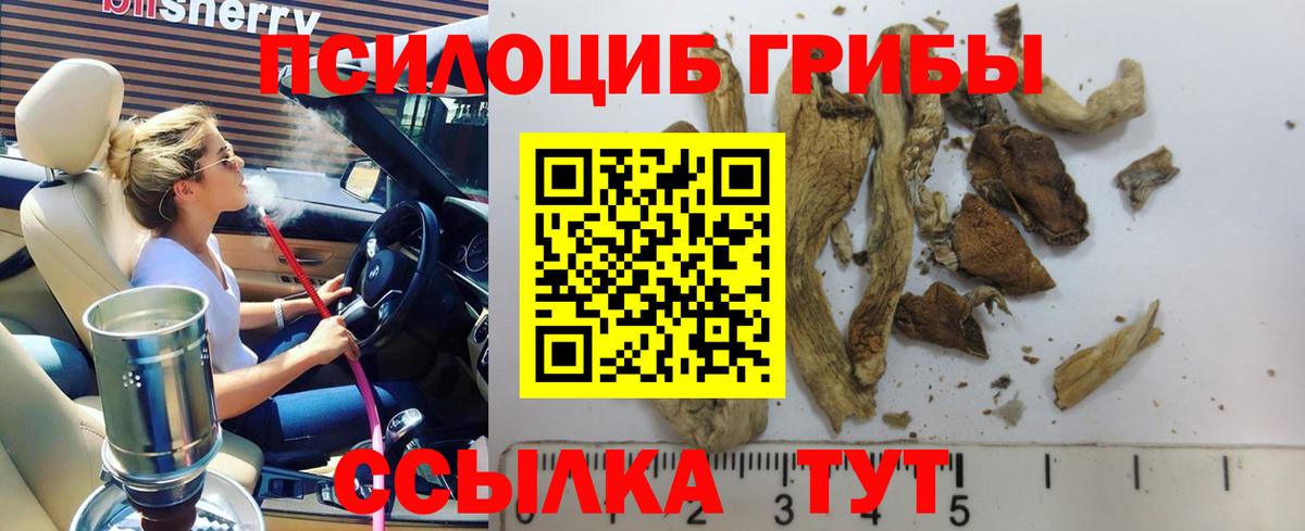 Галлюциногенные грибы мицелий Армавир